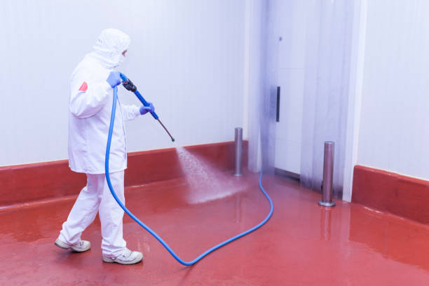 Best Roof Washing  in Lakeside, TX